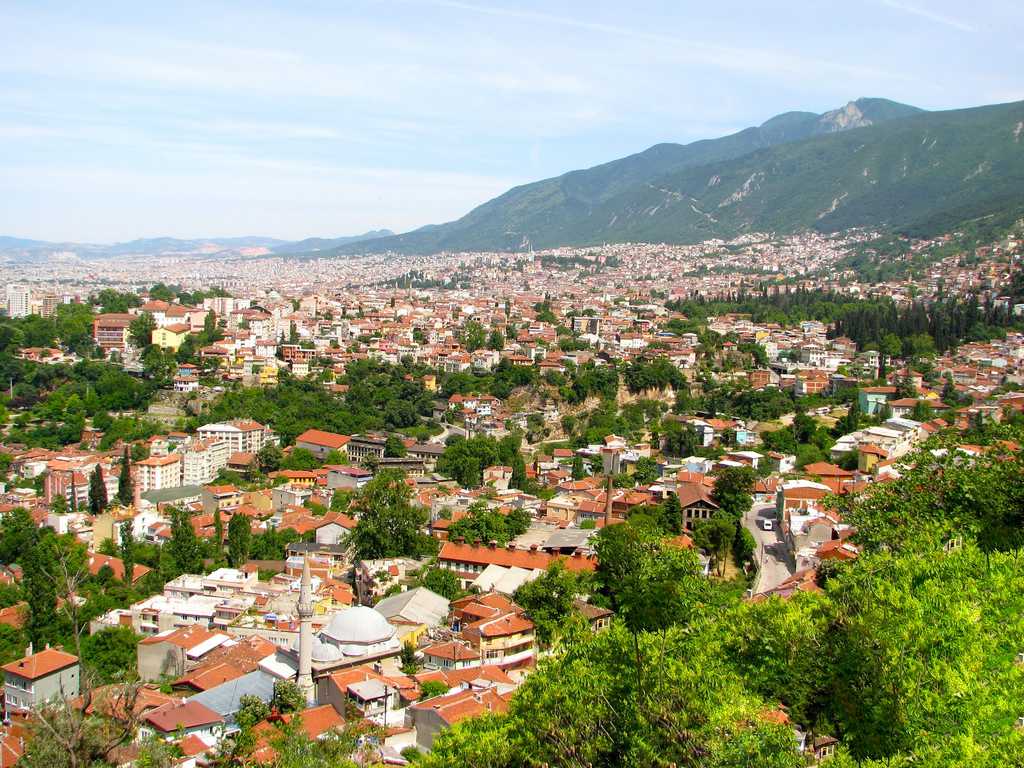 Bursa